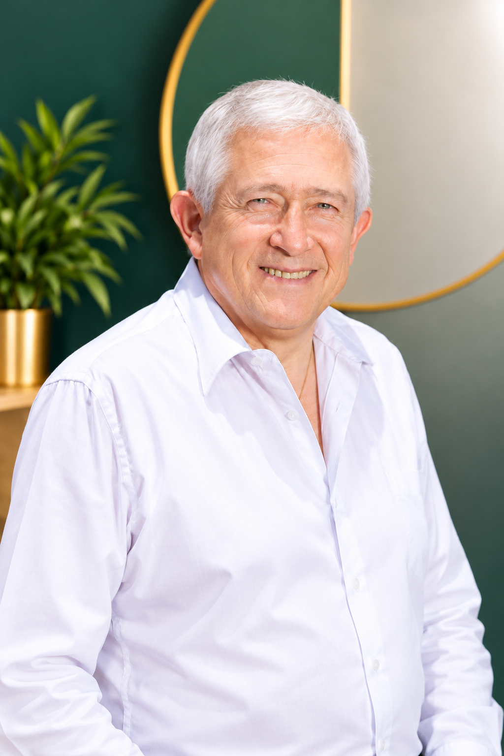 Profesor de Reiki
